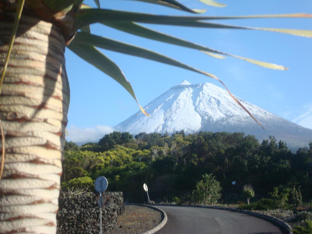 Pico Formoso Vinea Lava Alojamentos Pico Prainha  Exterior photo